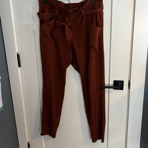 ATHLETA Skyline Rust Color Stretch Belted Casual Pull-on Ankle Pants Size 12 - Picture 4 of 15